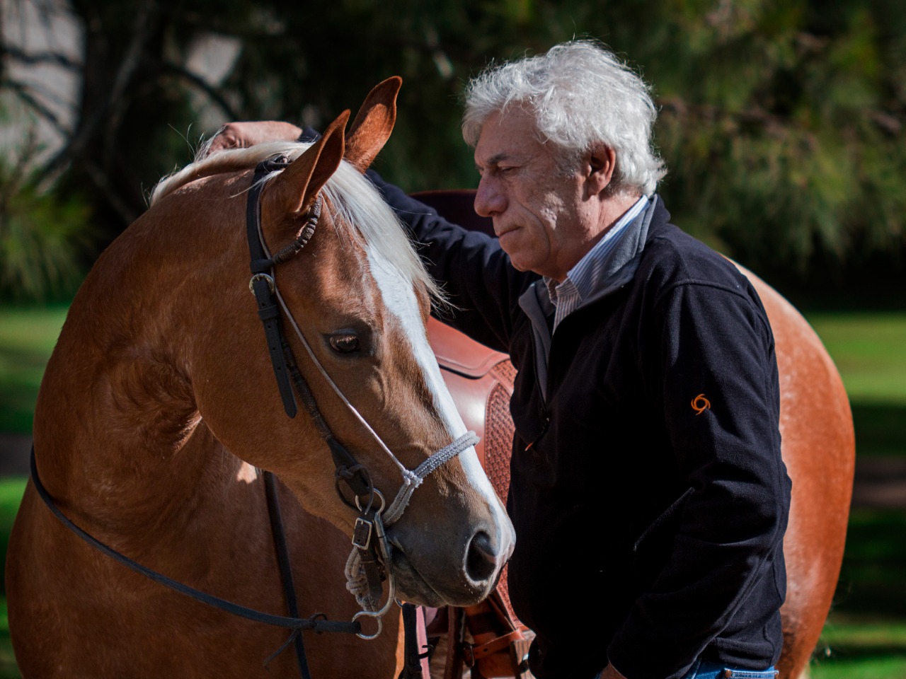 Posteo N°2 de Haras Maryland en Instagram